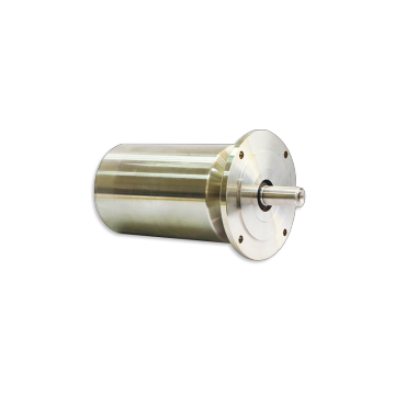 Động cơ servo bằng thép không gỉ với phanh